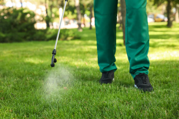 Best Local Pest Control Services  in Hennessey, OK