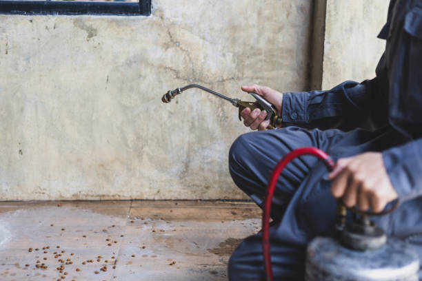Best Residential Pest Control  in Hennessey, OK